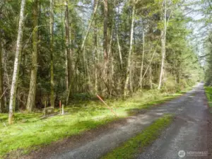 Southeast corner of beautiful 5 acre parcel  in an established neighborhood of like-sized parcels with utilities at lot line.