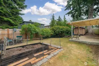 Back yard