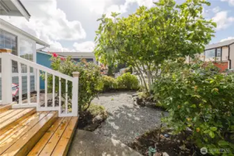 The covered patio with steps into the garden.