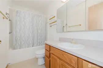A full bathroom on the lower level.