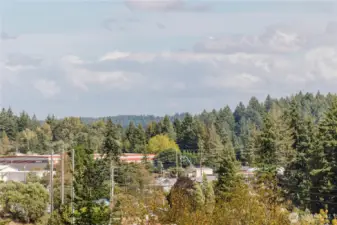 A woodsy view from the decks looking north.
