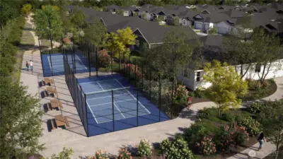 Pickleball Courts