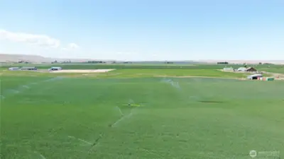 Irrigated Acreage