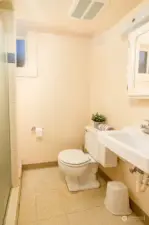 Lower level 3/4 bathroom.