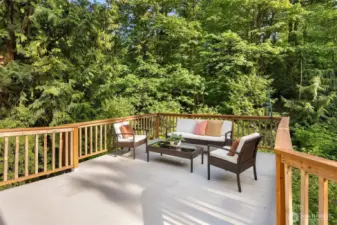Fabulous south-facing deck nestled among the trees, offering generous space for entertaining. Brand-new railings installed in 2024, and deck reinforced from below for added durability.