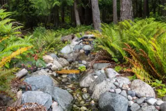 Relaxing natural water feature.