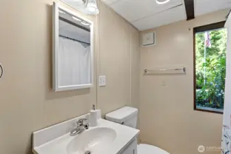 Lower Lever Full Guest Bath