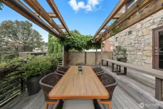 Large entertaining deck off the kitchen. Notice all the grapevines!  The grapes are ripe now and delicious.