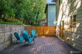 Backyard entertainment deck