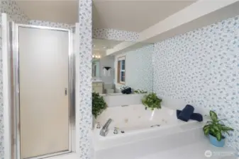 Soaking tub and shower in this bathroom.