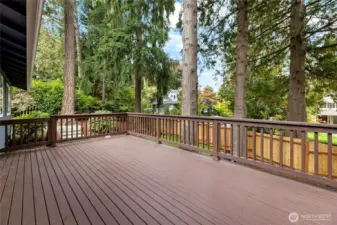 Huge back deck, freshly painted in 2025.