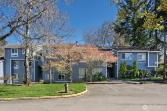 Your new home is on the top left   !