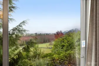 Looking out the kitchen window to the stunning views of the San Juan Islands.