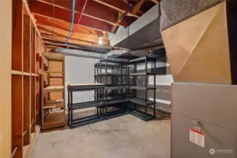 Storage in basement