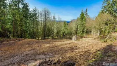 Site 2 - Upper part of property
