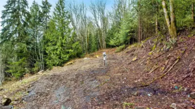 Site 2 - Upper part of property