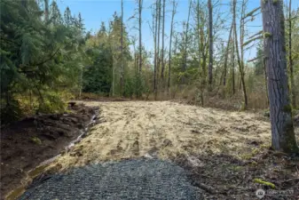 Site 1 - Lower part of property