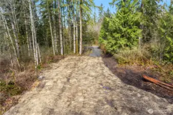 Site 1 - Lower part of property
