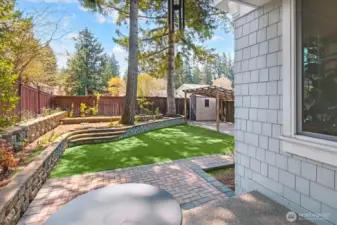 Spacious Backyard