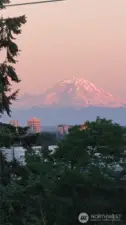 Roof top view of the MT.