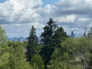 View from back deck