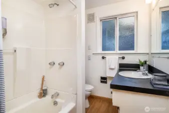 Lower level full bath