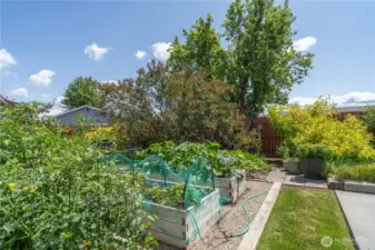 Raised Garden beds