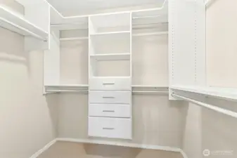 Wail in Closet in Primary Bed