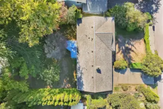 Huge lot. ADU? or 2 homes?