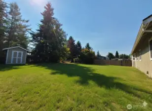 Grass edited digitally for cosmetic touch up.