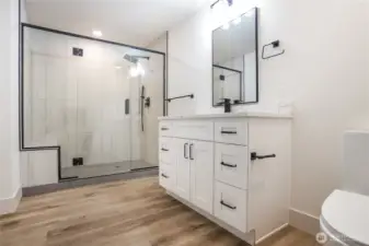 Lower Floor Bathroom