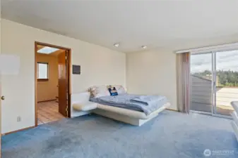 Large primary bedroom with original blue carpet