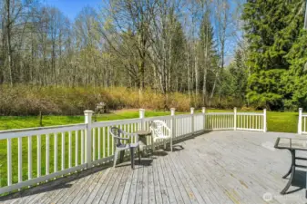 Enjoy Sunny Afternoons on this Entertaining Size Deck!