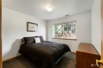 Located on the lower level is 1 of 2 spacious bedrooms.