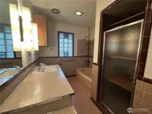 Bathroom in main house
