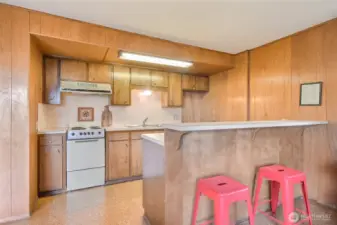 The Rec Room downstairs comes with a full kitchen space!