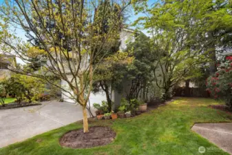 Side of home garden space.