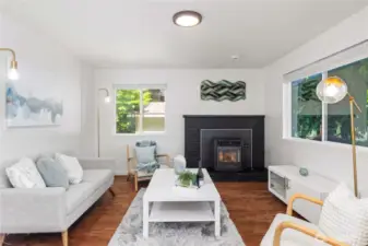 Pellet Stove