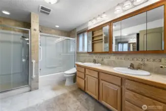 Primary Bathroom (mirror to be repaired)