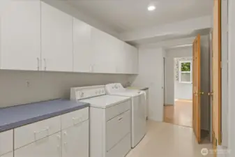 The spacious main floor laundry room offers plenty of room for laundry tasks and doubles as an ideal craft or hobby space. It includes a convenient laundry sink, a built-in ironing board, and a walk-in pantry for extra storage and organization.