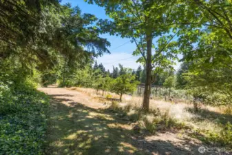 A secure fenced pet area and kennel provide a safe and comfortable space for pets to play and relax outdoors.