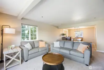 Lots of light - formal living space flows into dining room