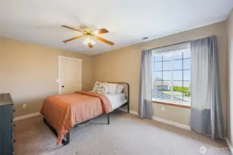 2nd upstairs bedroom with great views and large walk-in closet