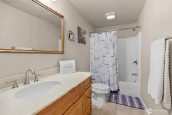 Guest bathroom