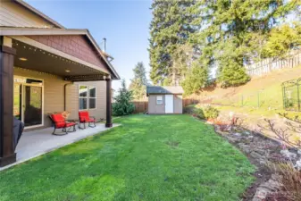 Private Back Yard