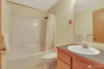 Guest Bathroom (Full)