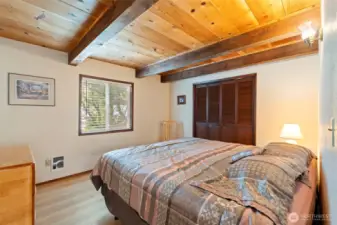 Lower Level Bedroom #3