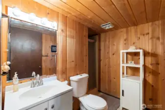 Lower Level Quarter Bathroom with Walk-in Shower