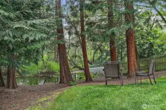 Unwind creekside - Wapato Creek runs through the back of the property.