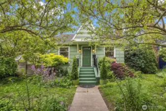 Seasonal floors and decorative trees